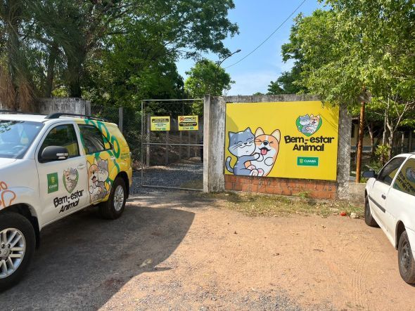Prefeitura de Cuiab | Bem-Estar Animal realizou mais de 900 castraes este ano e prev ampliar atendimento