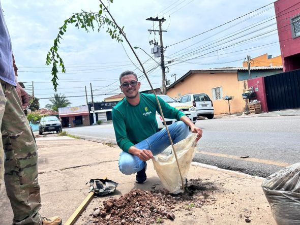 Prefeitura de Cuiab | Escassez de arborizao em caladas detectada com ajuda de satlite e plantio recomea para minimizar o calor